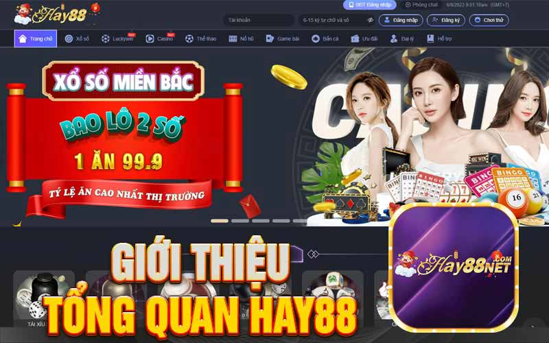 Giới thiệu tổng quan Hay88